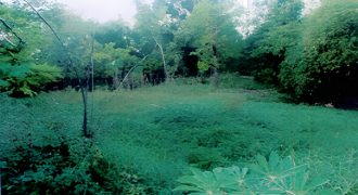 Foreclosed Residential Lot in San Jose, Occidental Mindoro