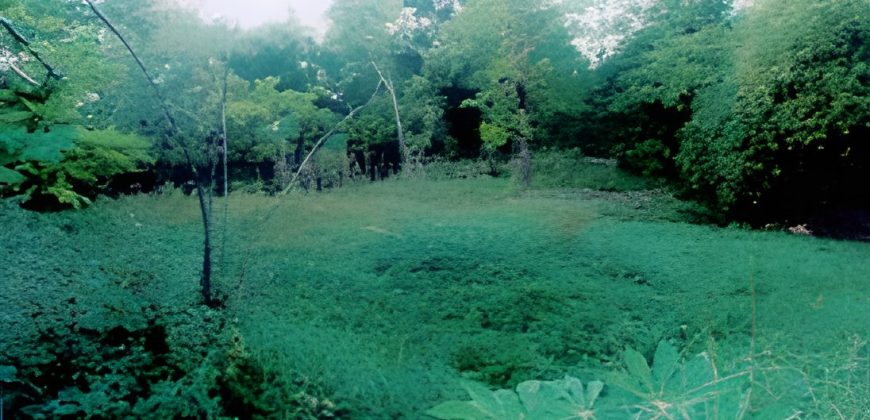 Foreclosed Residential Lot in San Jose, Occidental Mindoro