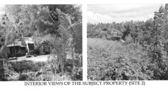 Foreclosed Agricultural Lot in Bago, Negros Occidental · Lot 458E-3 (Philippine Veterans Bank)