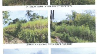 Foreclosed Agricultural Lot in Escalante, Negros Occidental · Lot 898 (Philippine Veterans Bank)