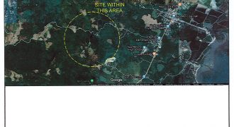 Foreclosed Agricultural Lot in Ajuy, Iloilo (Philippine Veterans Bank)