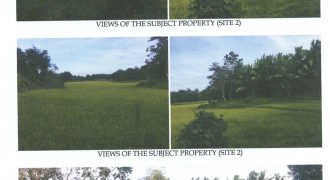 Foreclosed Agricultural Lot in Barotac Viejo, Iloilo (Philippine Veterans Bank) #6