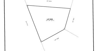 Foreclosed Agricultural Lot in City Of Cauayan City, Negros Occidental · Lot 2524 (Philippine Veterans Bank)