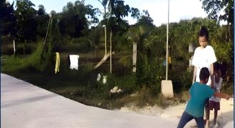 Foreclosed Agricultural Lot in Pamplona, Camarines Sur