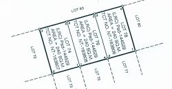 Foreclosed Residential Lot in San Antonio, Nueva Ecija · Lot 76 (Philippine Veterans Bank)