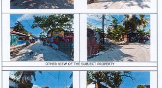 Foreclosed Residential Lot in Bacolod, Negros Occidental · Blk 7 (Philippine Veterans Bank) #6