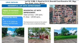 Foreclosed House and Lot in Bataan – Emerald Coast Executive Vill. (Security Bank)