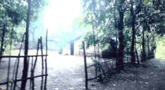 Foreclosed Residential Lot in Abra de Ilog, Occidental Mindoro