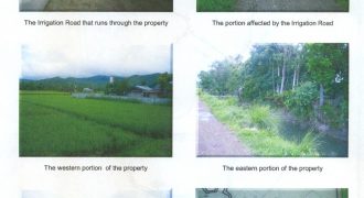 Foreclosed Agricultural Lot in Barotac Viejo, Iloilo (Philippine Veterans Bank) #13