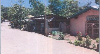 Foreclosed Agricultural Lot in Bacolod, Negros Occidental · Lot 1613 (Philippine Veterans Bank)