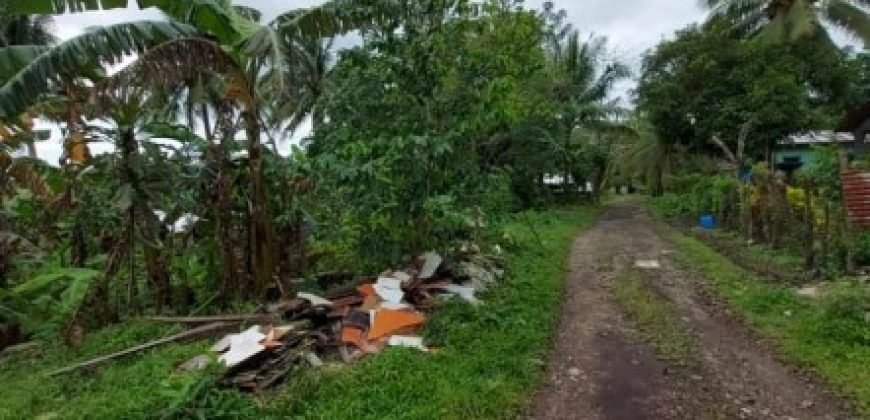 Foreclosed Residential Lot in Daraga (Locsin), Albay · Blk 8 (Philippine Veterans Bank) #8