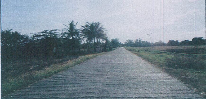 Foreclosed Residential Lot in San Jose, Occidental Mindoro