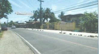 Foreclosed Residential Lot in San Antonio, Nueva Ecija · Lot 21 (Philippine Veterans Bank)