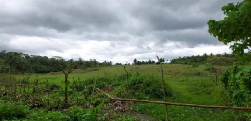 Foreclosed Residential Lot in Daraga (Locsin), Albay · Blk 3 (Philippine Veterans Bank) #19