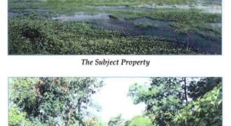 Foreclosed Agricultural Lot in Bugallon, Pangasinan