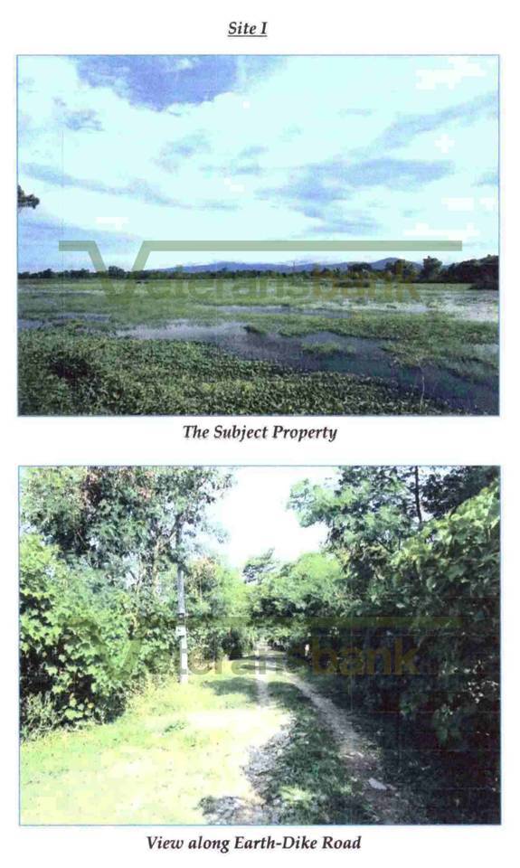 Foreclosed Agricultural Lot in Bugallon, Pangasinan