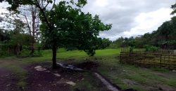 Foreclosed Residential Lot in Daraga, Albay