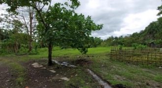 Foreclosed Residential Lot in Daraga, Albay