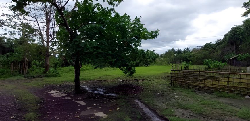 Foreclosed Residential Lot in Daraga, Albay