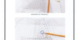Foreclosed Residential Lot in Limay, Bataan – L 2 Blk 2 Sea Breeze Subdivision (Philippine Veterans Bank)
