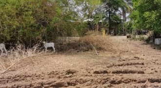Foreclosed Agricultural Lot in Umingan, Pangasinan