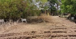 Foreclosed Agricultural Lot in Umingan, Pangasinan