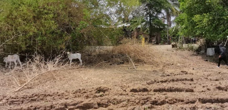 Foreclosed Agricultural Lot in Umingan, Pangasinan