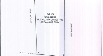 Foreclosed House and Lot in Castillejos, Zambales – Del Pilar Street (Philippine Veterans Bank)