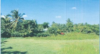 Foreclosed Residential Lot in Daraga, Albay, Luzon #225