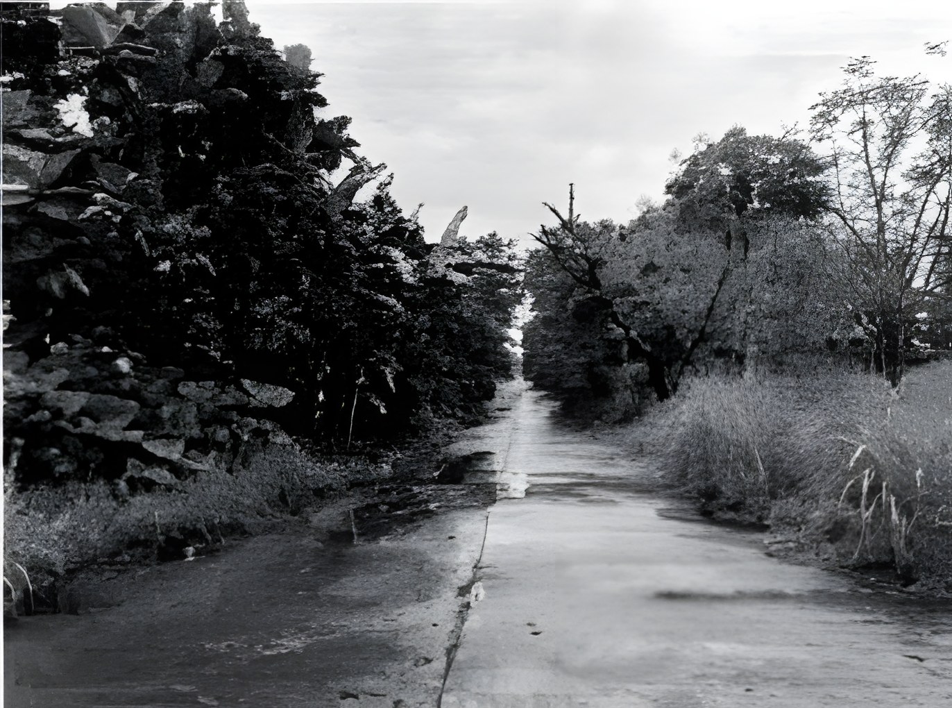Foreclosed Residential Lot in Laurel, Batangas