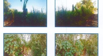 Foreclosed Agricultural Lot in Janiuay, Iloilo · Lot 1930 (Philippine Veterans Bank)