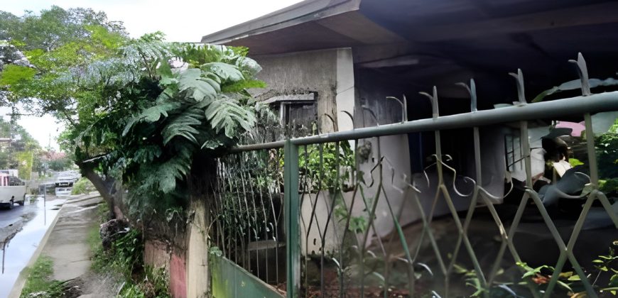Foreclosed House and Lot in Caloocan City