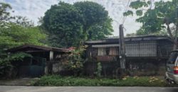 Foreclosed House and Lot in Quezon City – Interville Subdivision III (SSS)
