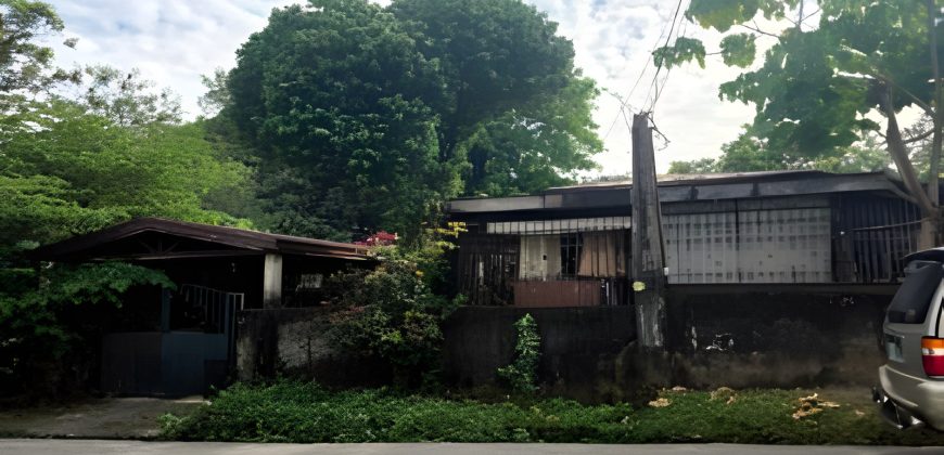 Foreclosed House and Lot in Quezon City – Interville Subdivision III (SSS)