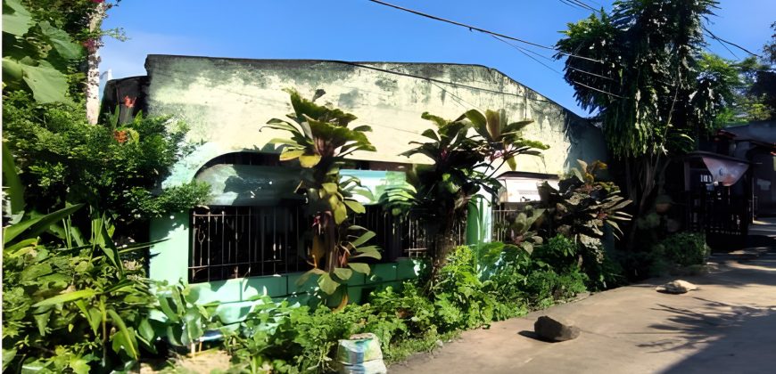 Foreclosed House and Lot in Quezon City