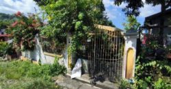 Foreclosed House and Lot in Rizal – Antipolo Hills Subdivision · Lot 9 Block 9 (SSS)