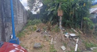 Foreclosed Residential Lot in Rizal – Antipolo Hills Subdivision (SSS)