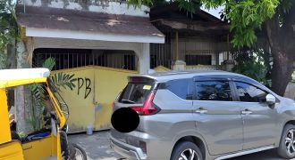 Foreclosed House and Lot in Rizal (SSS)