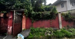 Foreclosed House and Lot in Binangonan, Rizal