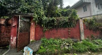 Foreclosed House and Lot in Rizal – Sunnyvale Subdivision (SSS)