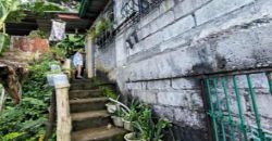 Foreclosed House and Lot in Binangonan, Rizal, Luzon #16