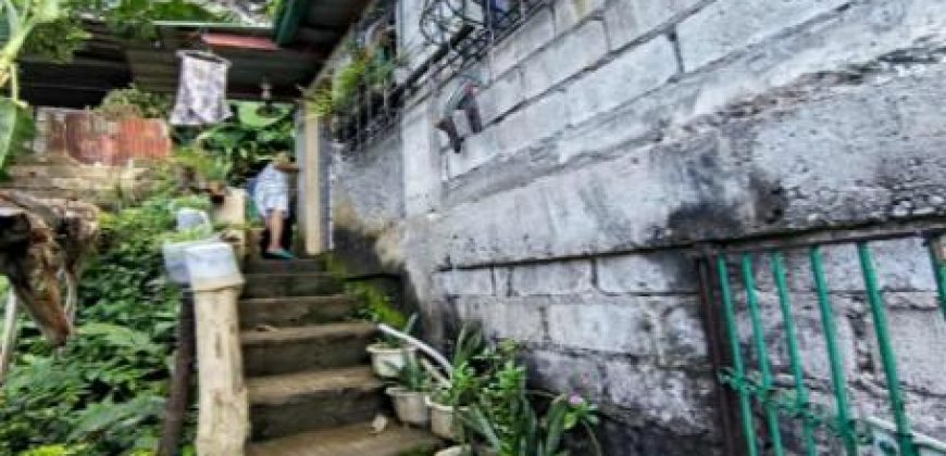 Foreclosed House and Lot in Binangonan, Rizal, Luzon #16
