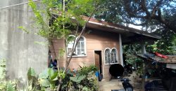 Foreclosed House and Lot in San Mateo, Rizal