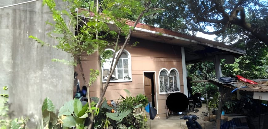 Foreclosed House and Lot in San Mateo, Rizal