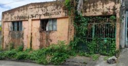 Foreclosed House and Lot in Taytay, Rizal, Luzon