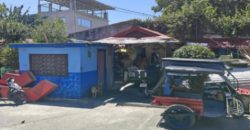 Foreclosed House and Lot in Rizal – Pinesville Subdivision (SSS)