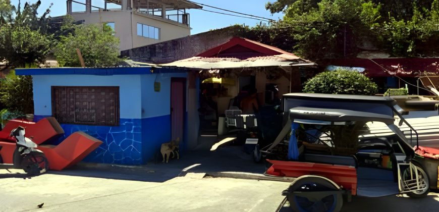 Foreclosed House and Lot in Rizal – Pinesville Subdivision (SSS)