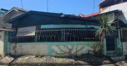 Foreclosed House and Lot in Paranaque, Metro Manila – Camella Homes 2 (SSS)