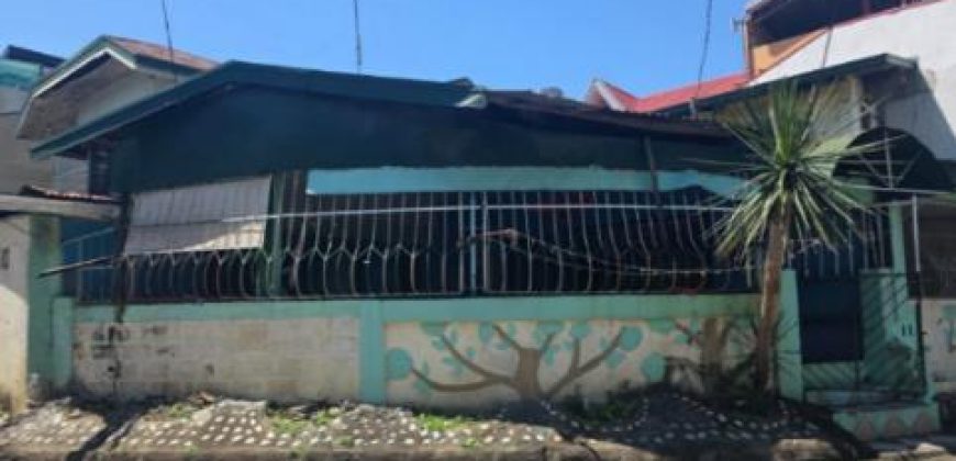 Foreclosed House and Lot in Paranaque, Metro Manila – Camella Homes 2 (SSS)