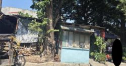 Foreclosed House and Lot in Parañaque City